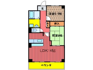 エバーグリーンの物件間取画像